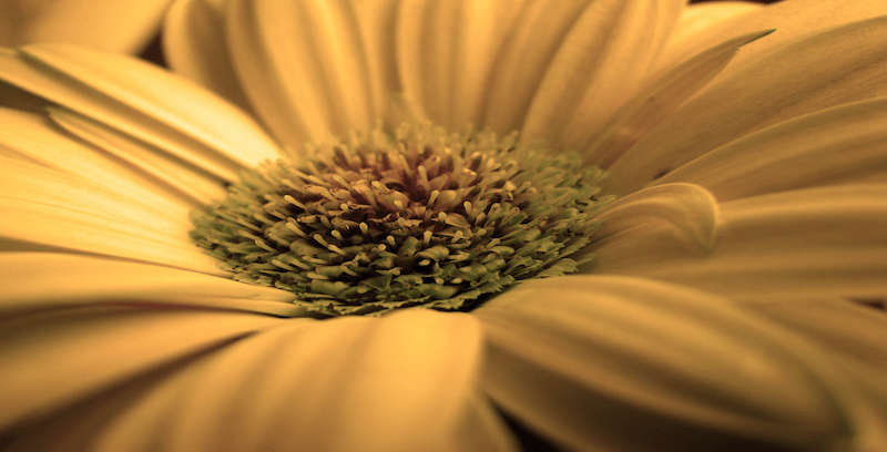 Aging Gracefully: Beginning an Anti-Aging Routine