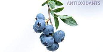 Explaining Antioxidants