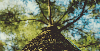 10 Earth Day Tips