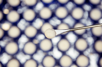 Plastic… in my skincare and cosmetics?