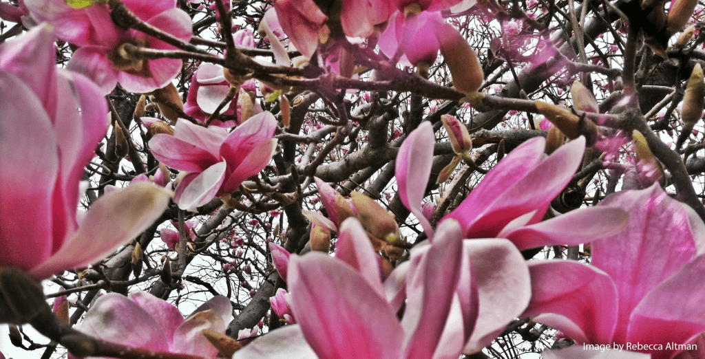 Spring-Clean Your Skincare Routine